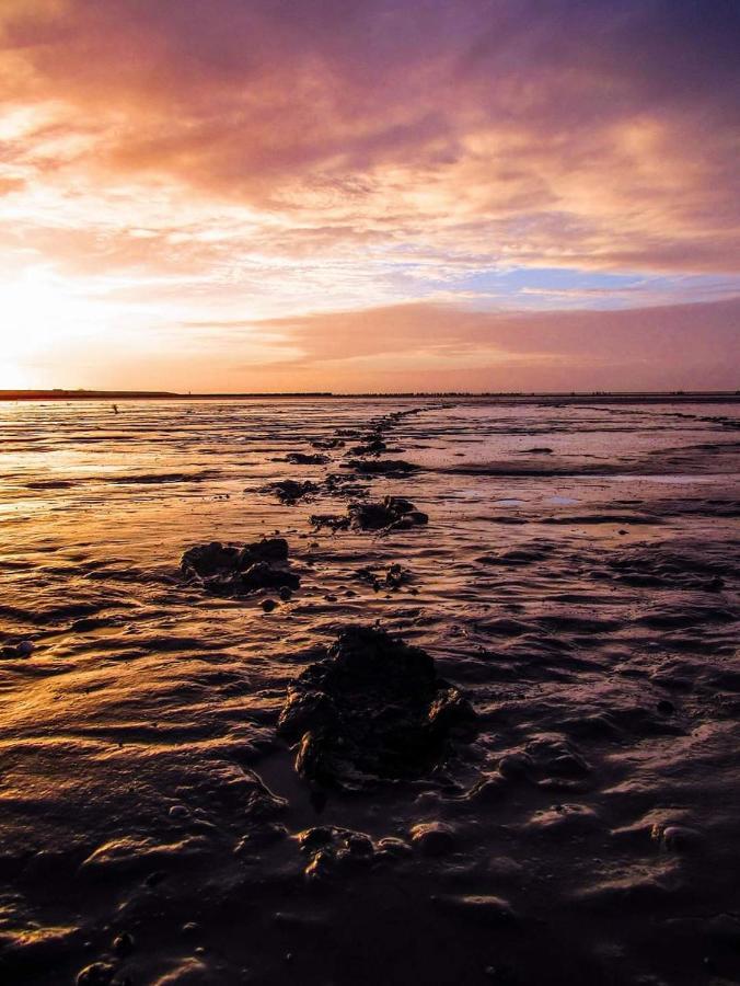 Vissershuisje aan de waddenzee Paesens Buitenkant foto